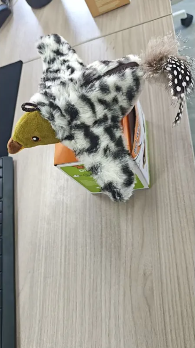 Plush Bird Pet Toy